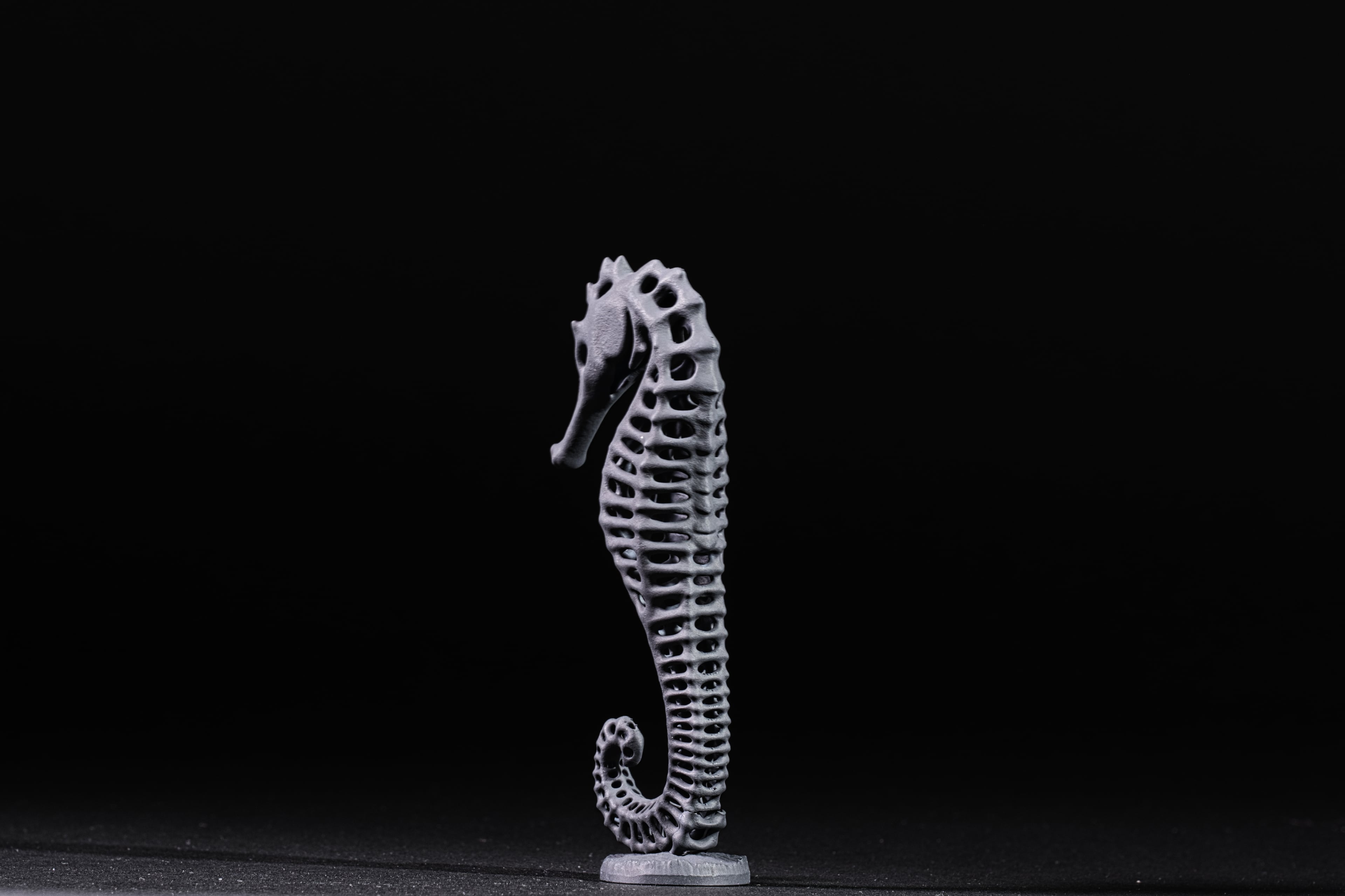 Seahorse Exoskeleton with Base 3d model