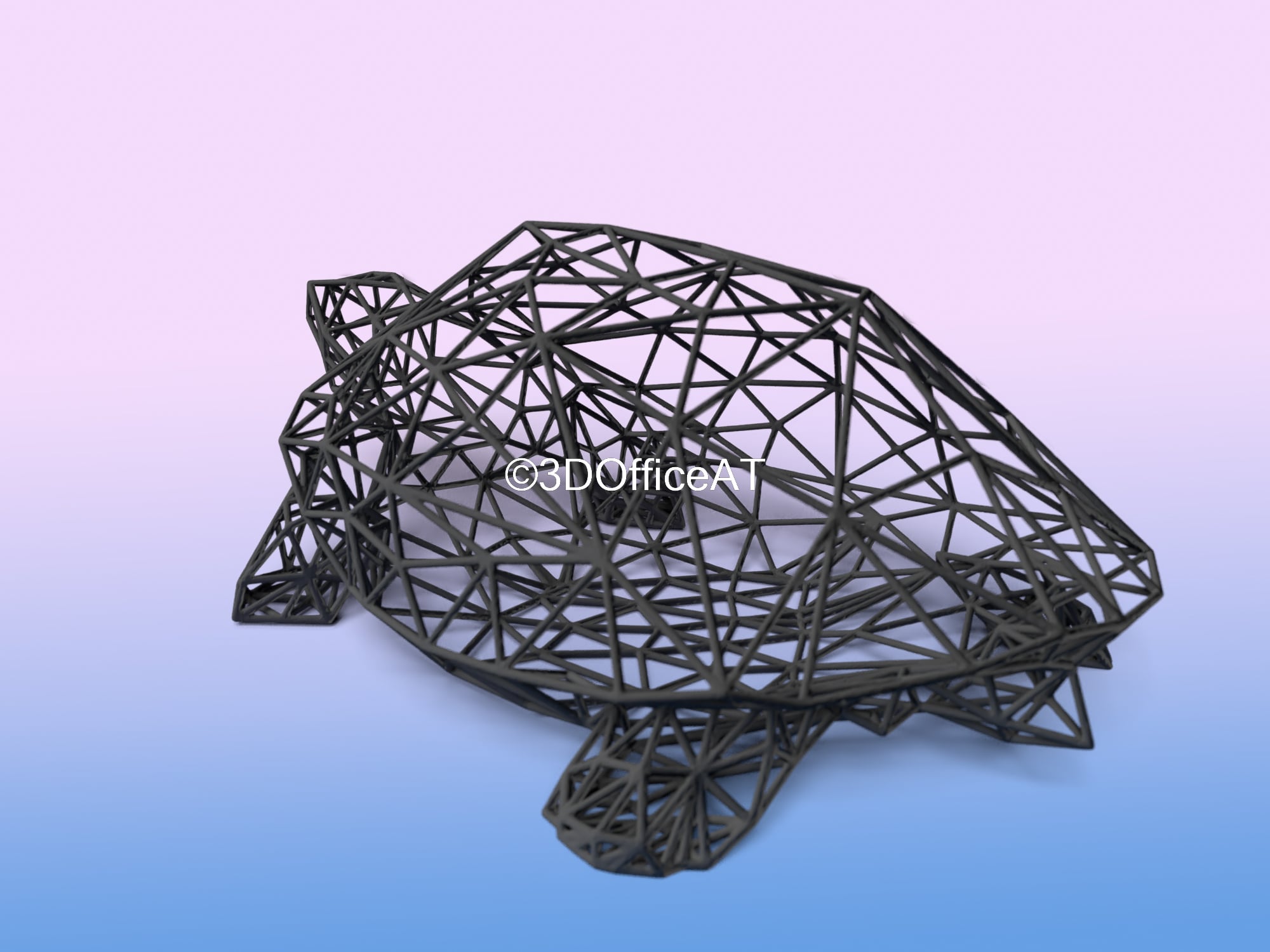 Turtle Wire Art 3d model