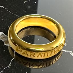 Paratithemi Ring 3d model