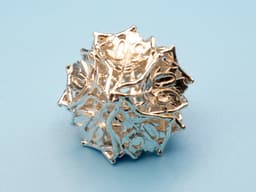 Botanical Die10 Decader (Oak) Mini 3d model