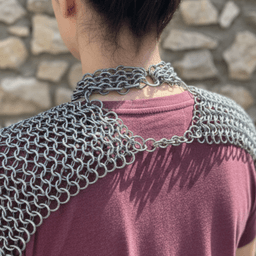 Chainmail Shoulder Armor 3d model