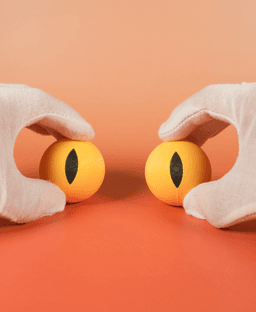 Small Eyes Libray 3d model