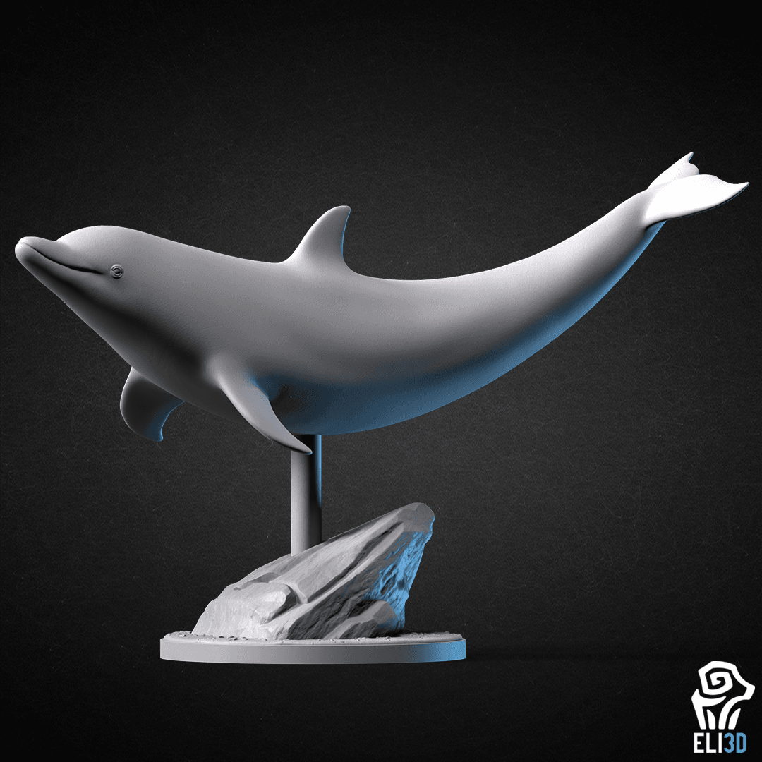 Animals - Ocean Wildlife 3d model
