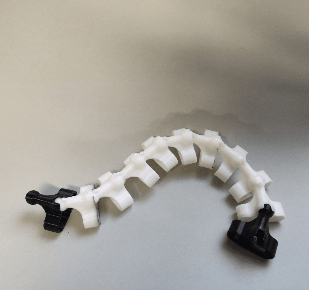 Cable Spine 3d model
