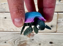 Baby Turtle 3d model
