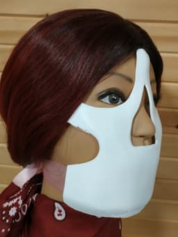 Wasteland Harness Mask 3d model