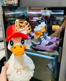 Baseball Goose Gear for Porch Goose 3d model