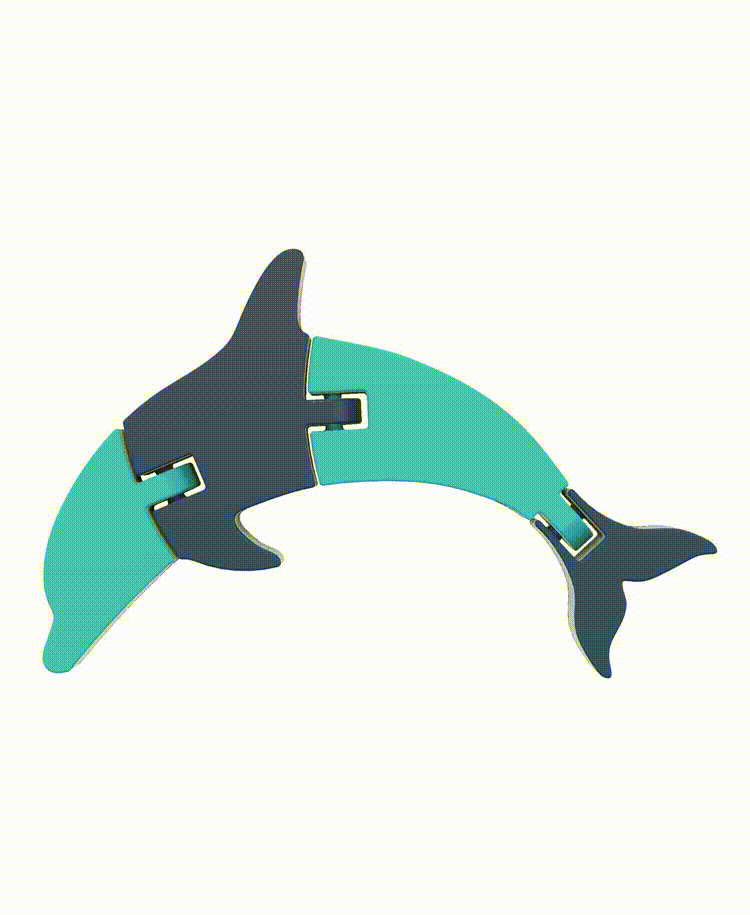 Articulated Dolphin 3d model