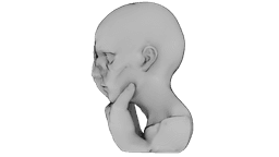 Fragmented Mind 3d model