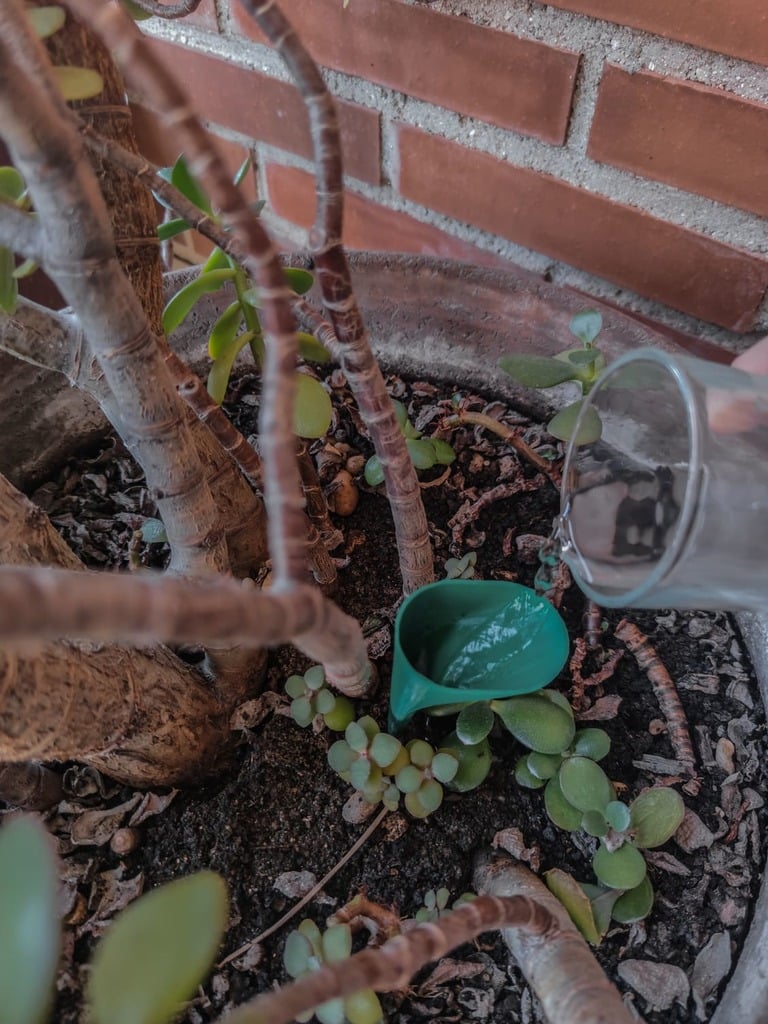 Self-Watering 3d model