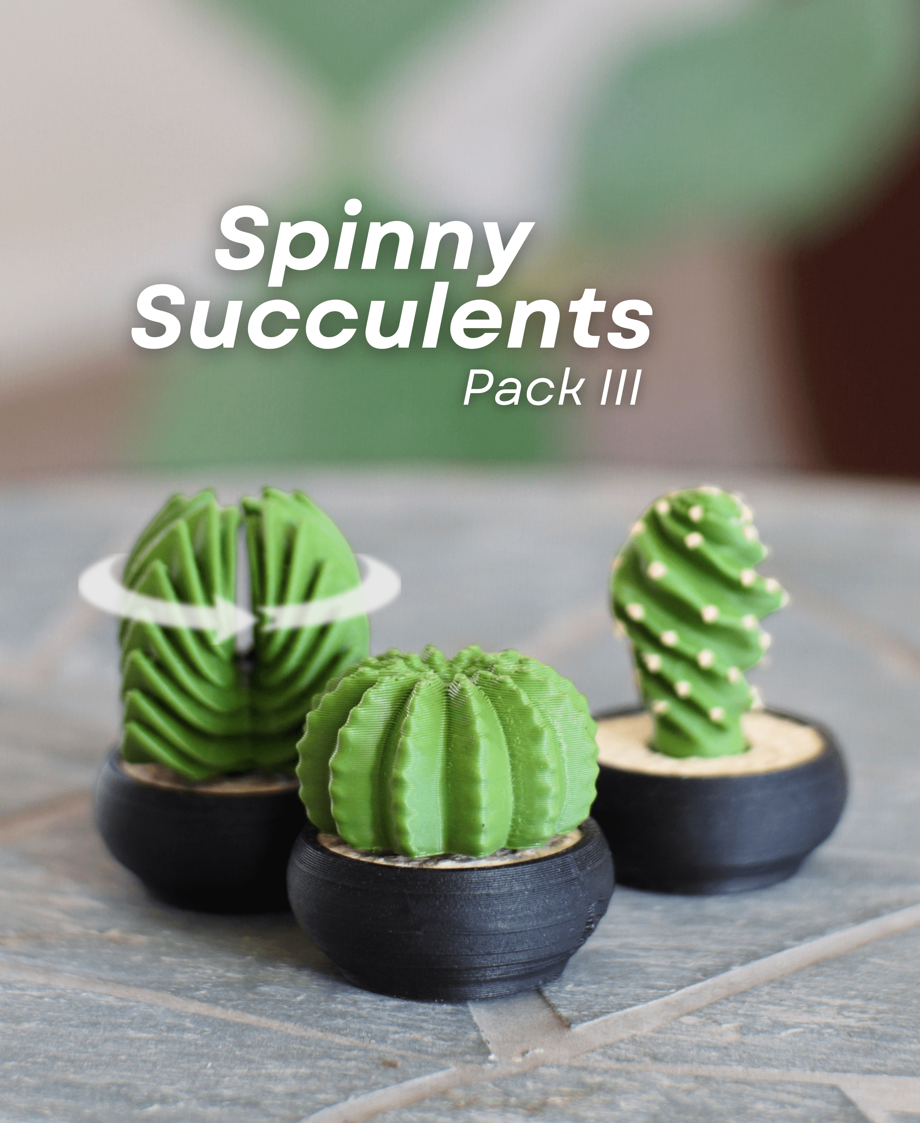 Spinny Succulents - Pack III 3d model