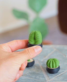Spinny Succulents - Pack III 3d model