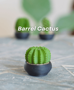 Spinny Succulents - Pack III 3d model