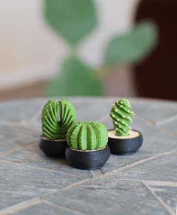 Spinny Succulents - Pack III 3d model