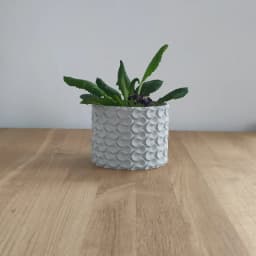 Planter 3d model