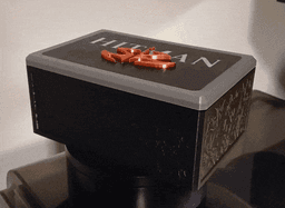 Hitman Skull Box 3d model