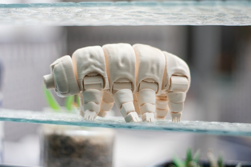 Articulated Tardigrade 3d model