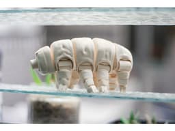 Articulated Tardigrade 3d model
