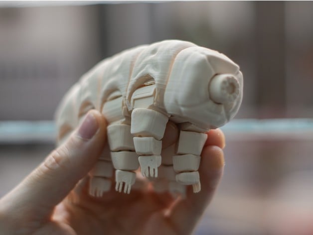 Articulated Tardigrade 3d model