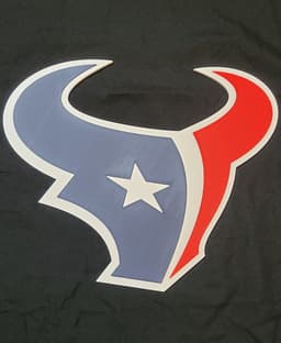 Houston Texans 3d model