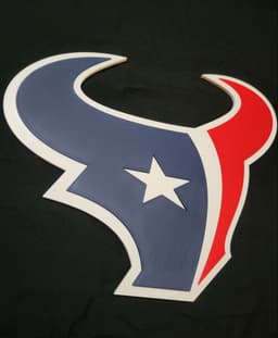 Houston Texans 3d model