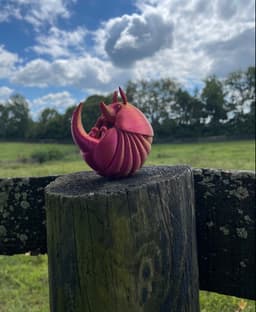 Cute Armadillo 3d model