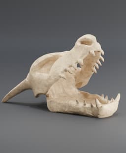 #Throwback Charizard Skull Dice Tower 3d model