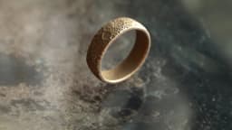 MoonRing 3d model