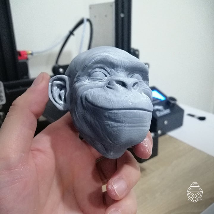 Monkey Set 3d model