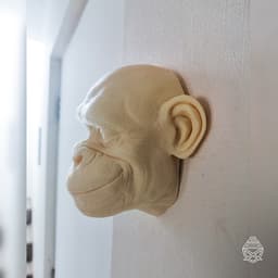 Monkey Set 3d model