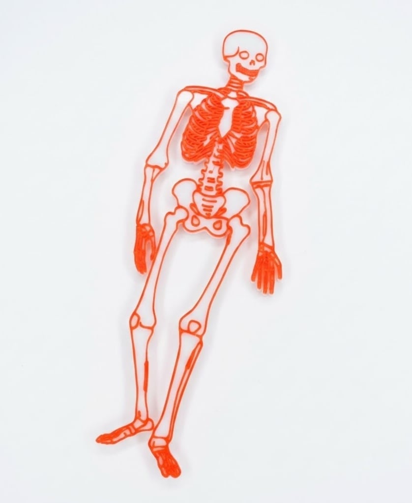 Skeleton 3d model