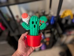 Cactoid Desk Figure - No AMS Required 3d model