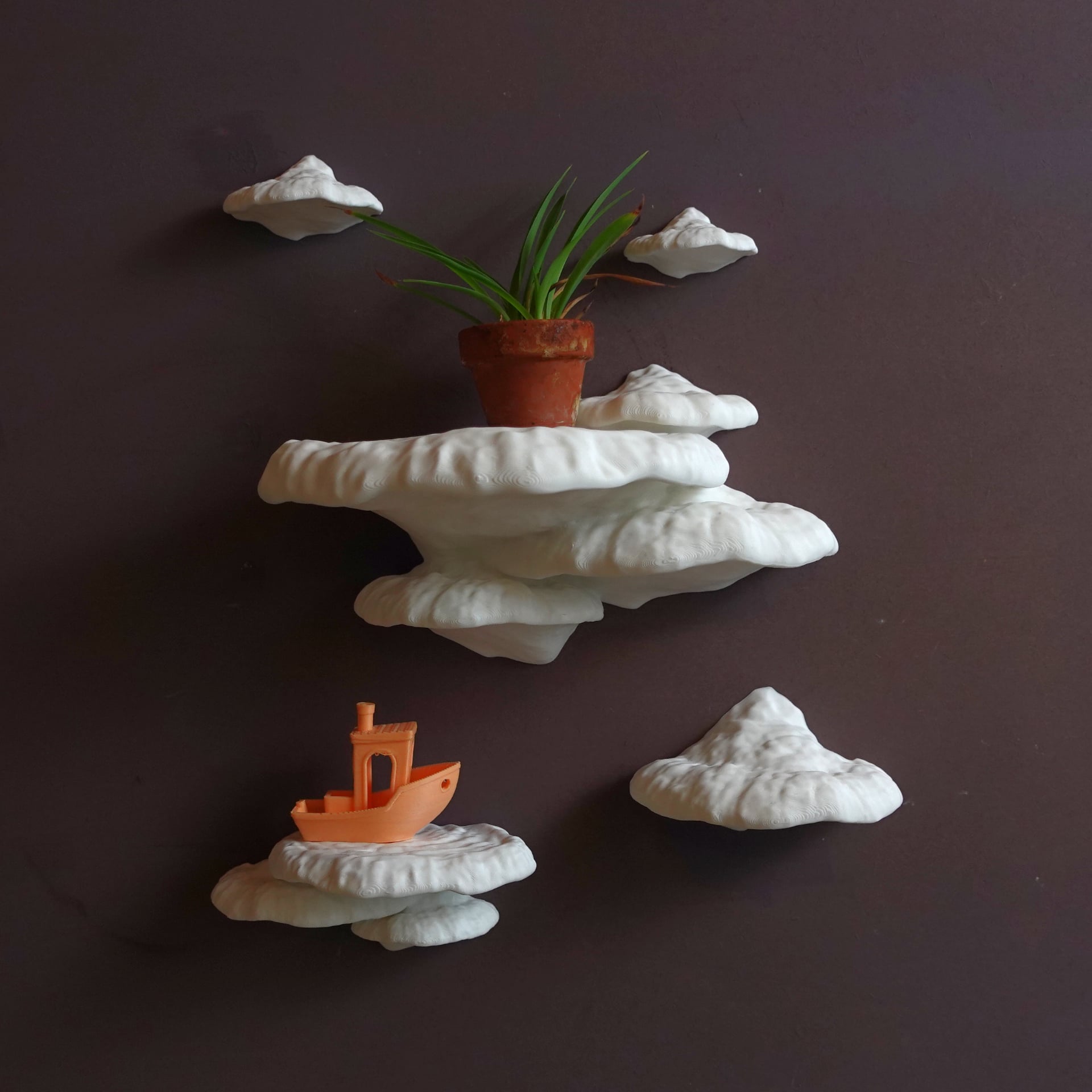 Mushroom shelf “Formitopsis Pinicula” 3d model