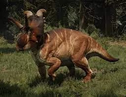 albertaceratops 3d model