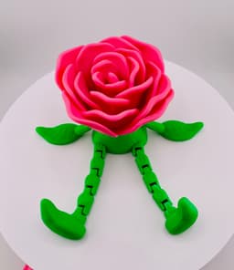 Mr Rose Bud-Dee 3d model