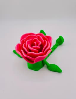 Mr Rose Bud-Dee 3d model