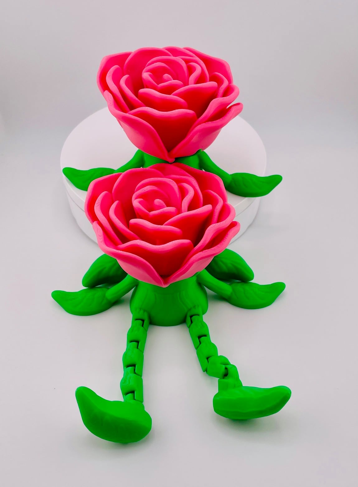 Mr Rose Bud-Dee 3d model