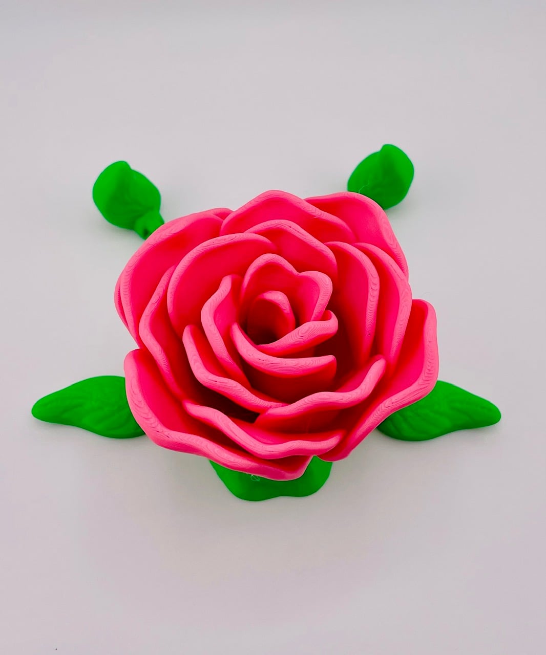Mr Rose Bud-Dee 3d model