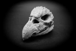 Skeksis Skull (Pre Supported) 3d model