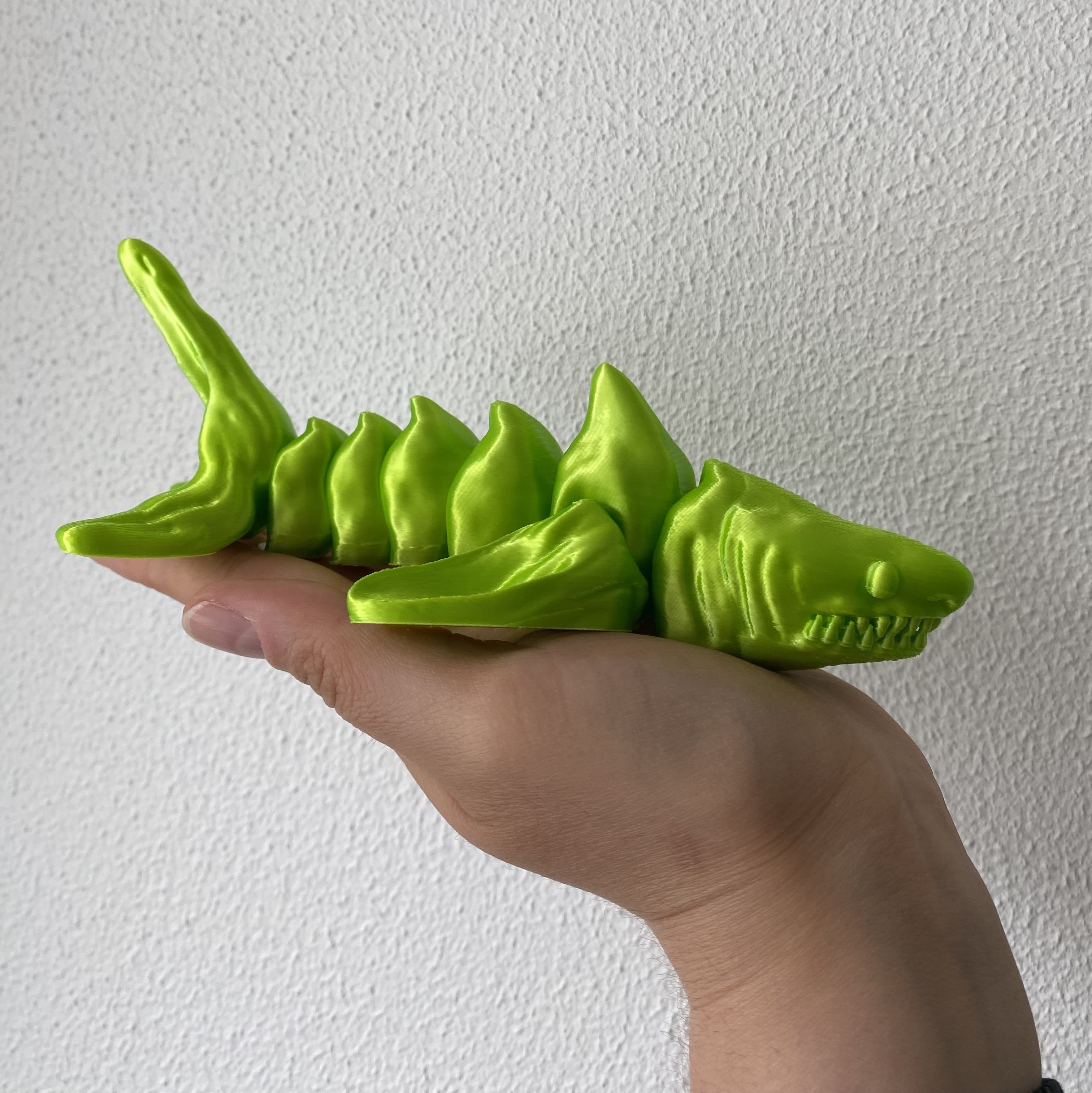 Rattleshark 3d model