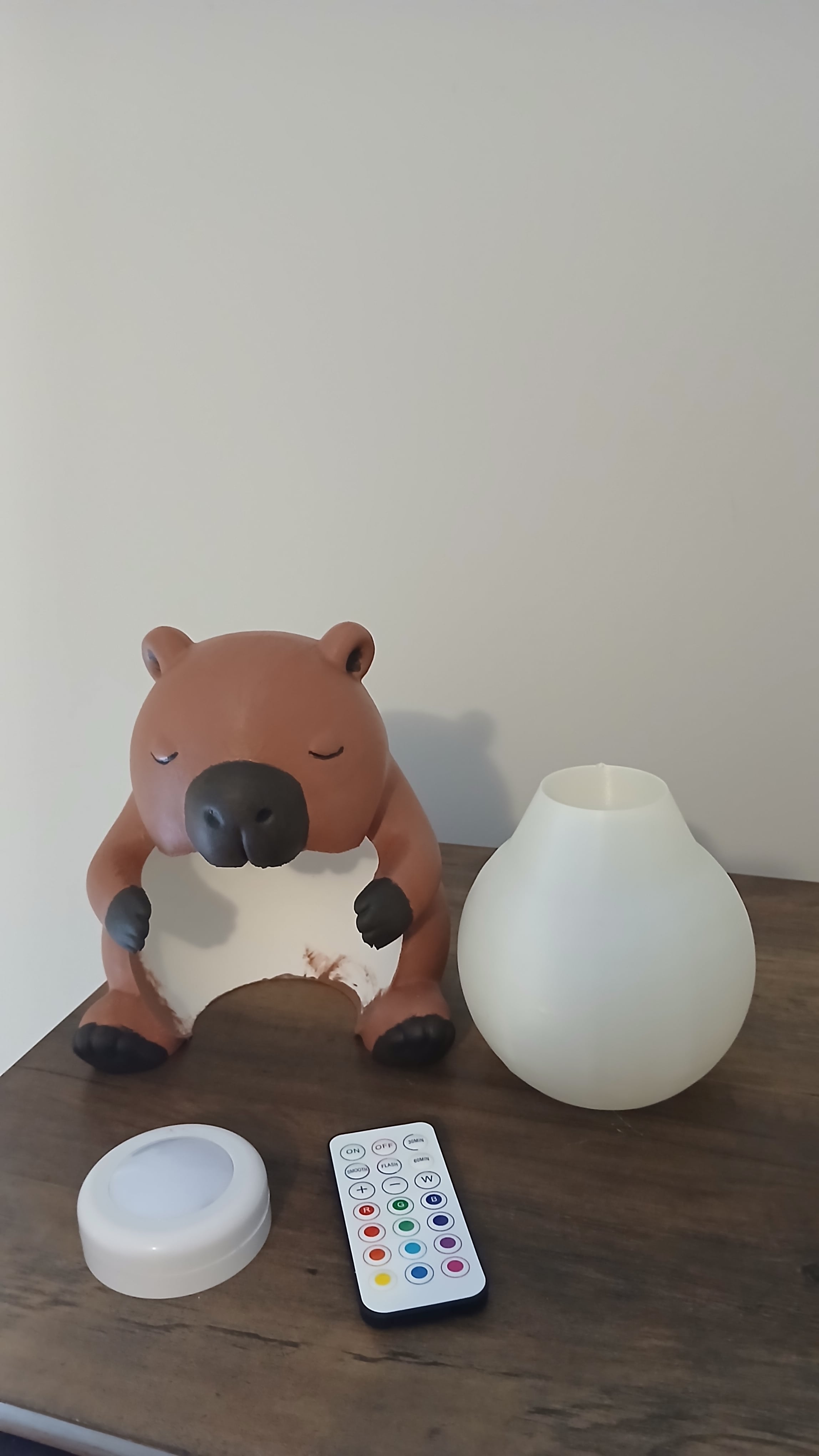 Sleepy Capybara Orb Lamp 3d model