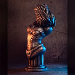 Wonder Woman bust (fan art) 3d model