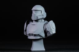 Helldivers 2 bust (Pre-Supported) 3d model