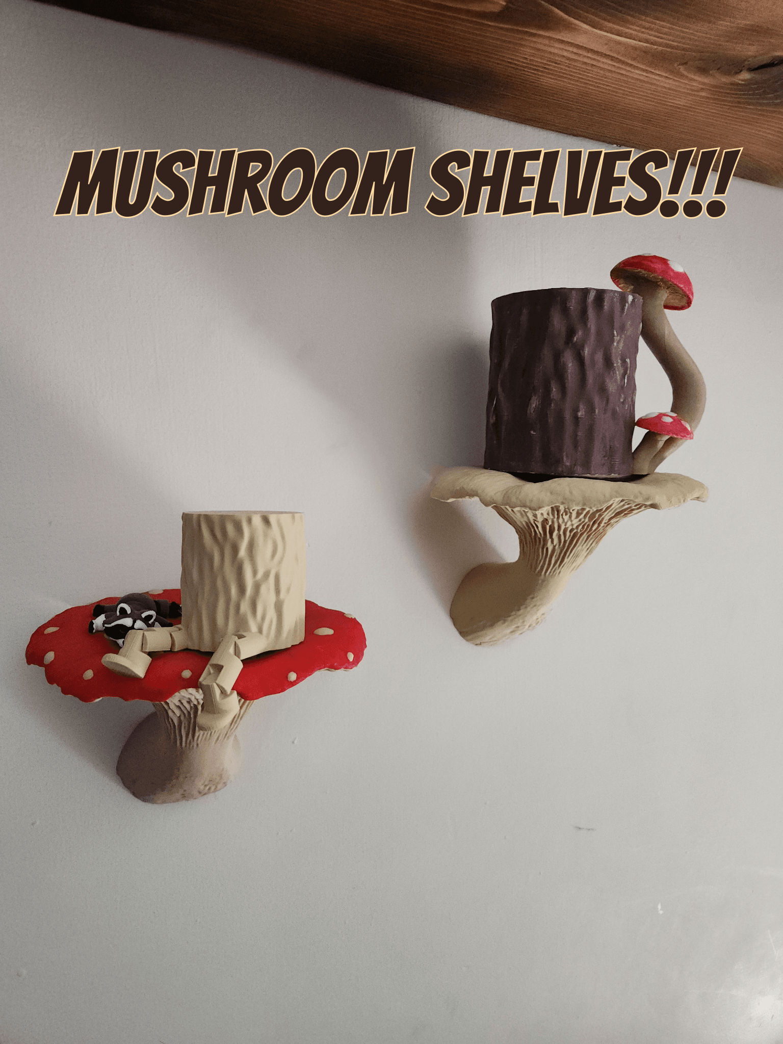 Mushroom Shelves!! 3d model