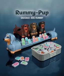 RummyPup – Rummy Game 3d model