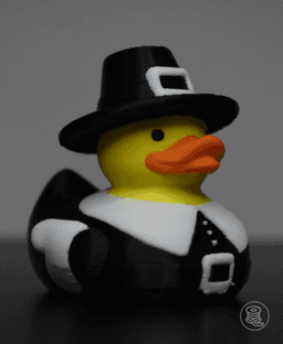 Pilgrim Duck 3d model