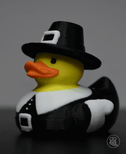 Pilgrim Duck 3d model