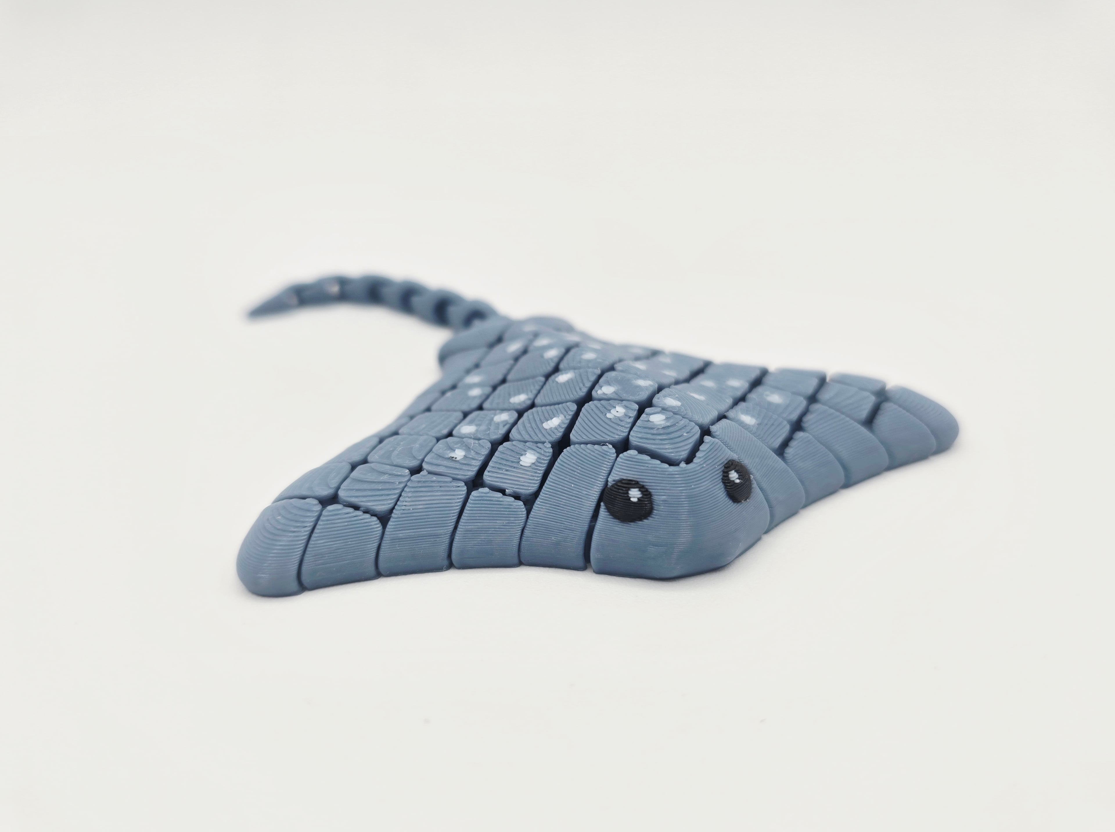 Flexi Hybrid Stingray 3d model