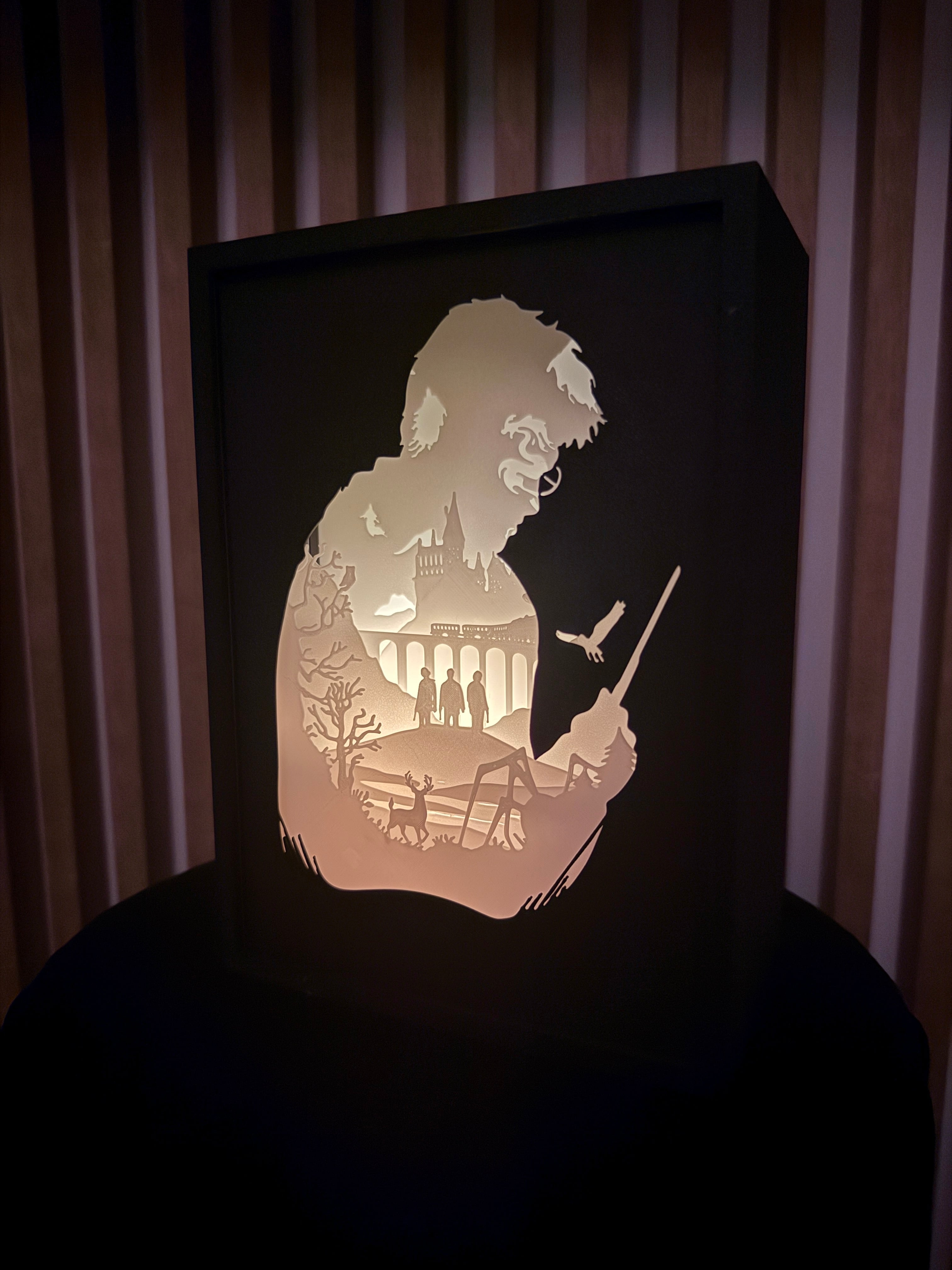 Harry Potter Shadow Box Lamp 3d model
