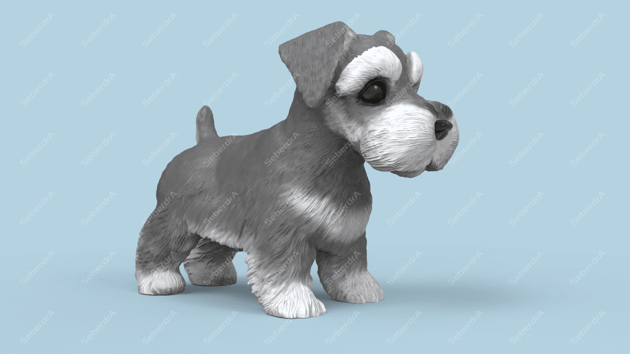 Cute Schnauzer 3d model